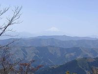 CAMPiii（キャンピー） Jim Smith