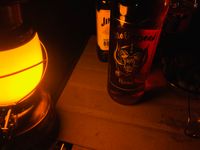 CAMPiii（キャンピー） 野生のジョニー