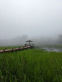 CAMPiii（キャンピー） ACKん