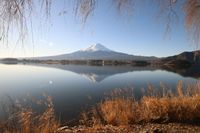 CAMPiii（キャンピー） りん