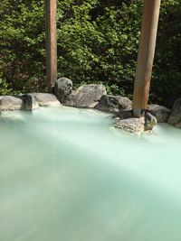 CAMPiii（キャンピー） さち