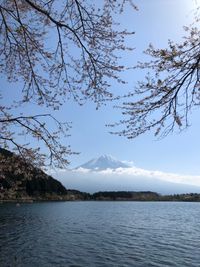 CAMPiii（キャンピー） まこっち