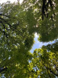 CAMPiii（キャンピー） まぁ