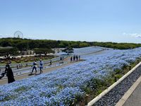 CAMPiii（キャンピー） なば