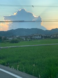 CAMPiii（キャンピー） ちびまる