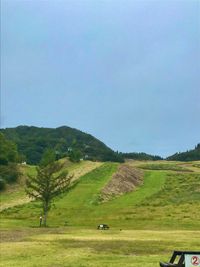 CAMPiii（キャンピー） ふう
