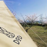 CAMPiii（キャンピー） たっちー