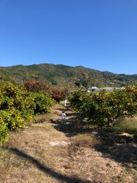 CAMPiii（キャンピー） けいちょん