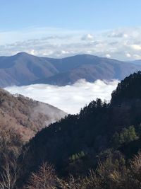 CAMPiii（キャンピー） しゅー