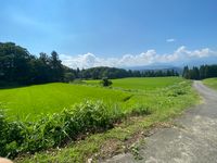 CAMPiii（キャンピー） おはぎ