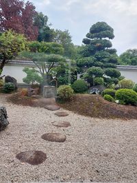 CAMPiii（キャンピー） いっこ