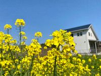 CAMPiii（キャンピー） 多々羅放庵