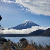 CAMPiii（キャンピー） なか
