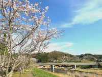CAMPiii（キャンピー） azul