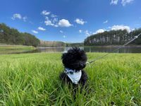 CAMPiii（キャンピー） summer_ina