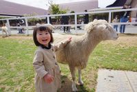 CAMPiii（キャンピー） よっちゃん