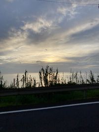 CAMPiii（キャンピー） タイヨー