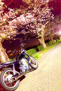 CAMPiii（キャンピー） sra
