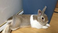 CAMPiii（キャンピー） みか