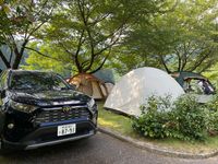 CAMPiii（キャンピー） きつね