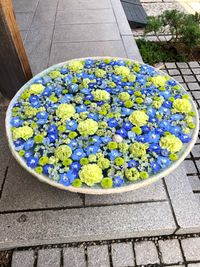 CAMPiii（キャンピー） ちか