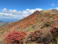 CAMPiii（キャンピー） ひろ