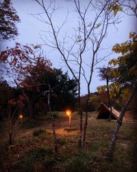 CAMPiii（キャンピー） 45o395
