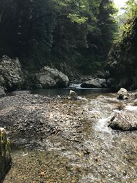 CAMPiii（キャンピー） camp3150☆