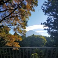 CAMPiii（キャンピー） Raywin