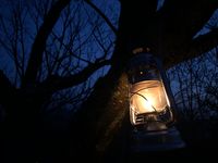 CAMPiii（キャンピー） たま