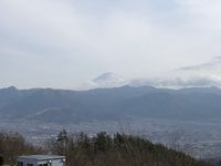 CAMPiii（キャンピー） ヒゲボウ