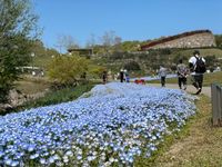 CAMPiii（キャンピー） のりあき