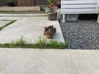 CAMPiii（キャンピー） みねまつ