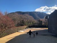 CAMPiii（キャンピー） Akiko Matsuo