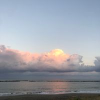 CAMPiii（キャンピー） 谷口村の村長