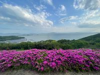 CAMPiii（キャンピー） ムーサン