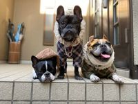 CAMPiii（キャンピー） 奥山博司