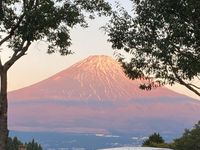 CAMPiii（キャンピー） しほ