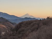 CAMPiii（キャンピー） やった