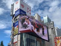 CAMPiii（キャンピー） コウウケイ
