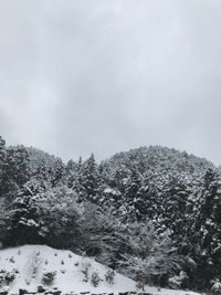 CAMPiii（キャンピー） masa