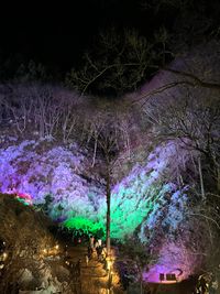 CAMPiii（キャンピー） alilu
