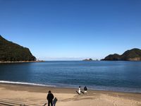 CAMPiii（キャンピー） 橋本
