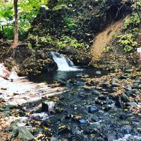 CAMPiii（キャンピー） きくちしんご