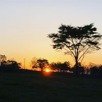 CAMPiii(キャンピー) akemi.09.02