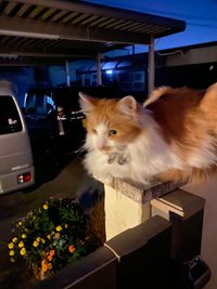 CAMPiii（キャンピー） ぼぼ