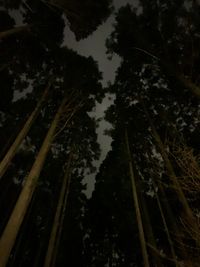 CAMPiii（キャンピー） Kazu Kudo