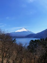 CAMPiii（キャンピー） T