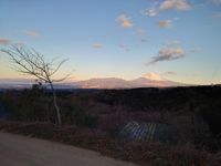 CAMPiii（キャンピー） のぶ