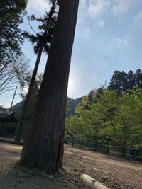 CAMPiii（キャンピー） inosuke